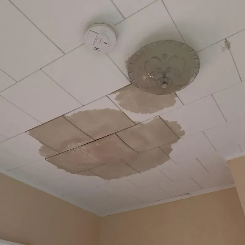 Ceiling Water Damage Repair in Butler County, IA