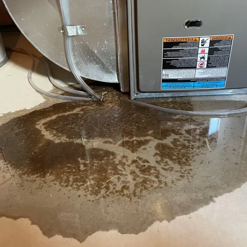 Pipe Burst and Leak Restoration in Butler County, IA