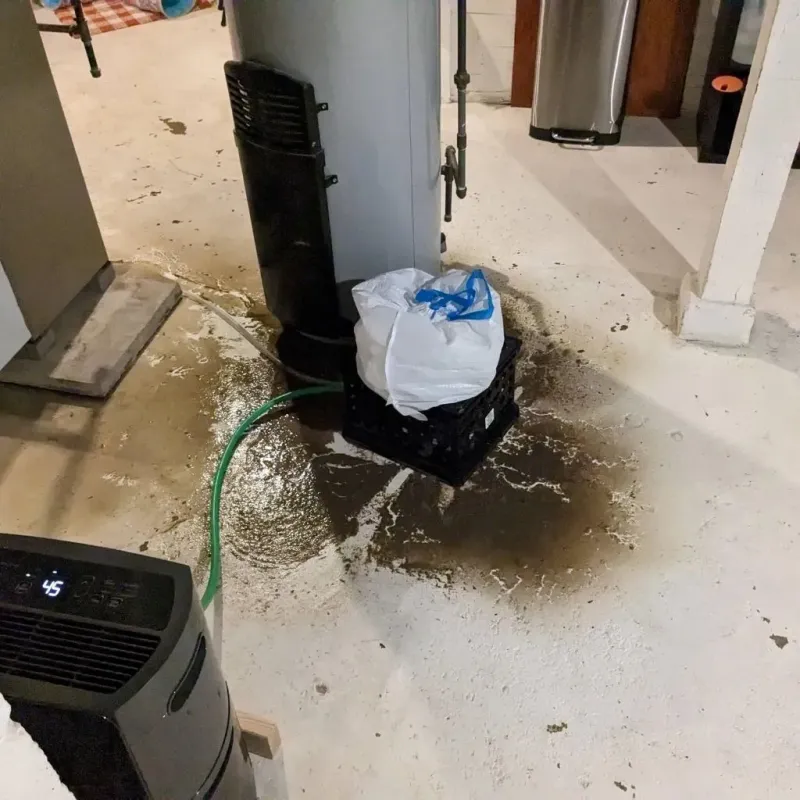 Sewage Backup Cleanup Service in Butler County, IA